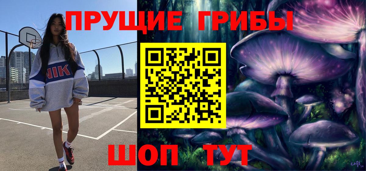 Псилоцибиновые грибы GOLDEN TEACHER  Вход с VPN  Кимовск  Галлюциногенные грибы прущие грибы 