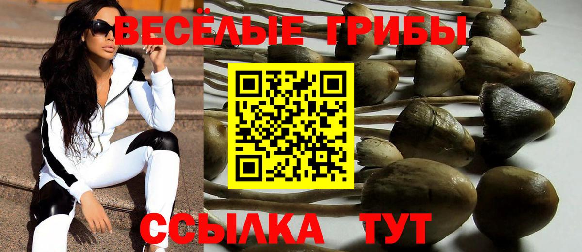 Псилоцибиновые грибы MAGIC MUSHROOMS Кимовск