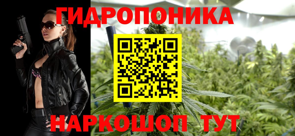 МАРИХУАНА сатива Кимовск