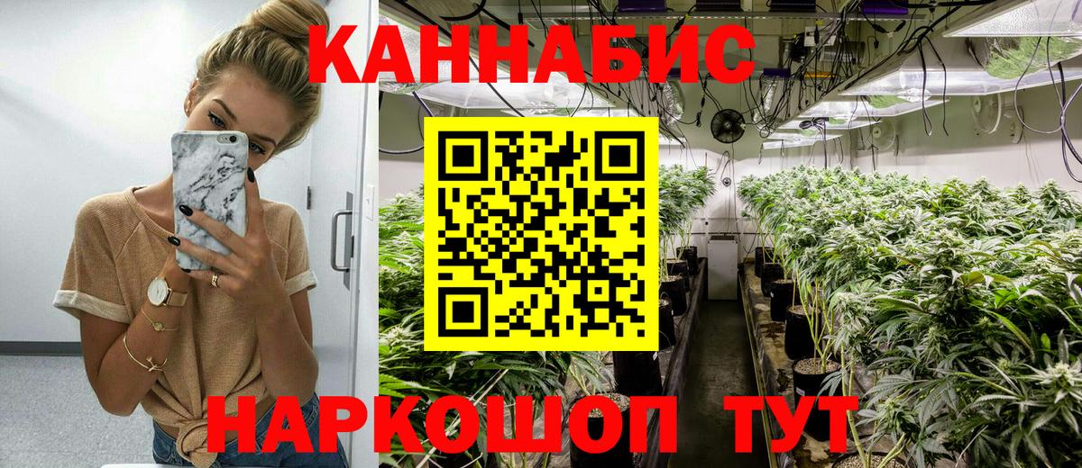 Бошки марихуана конопля  Вход с VPN  Марихуана White Widow  Кимовск  Каннабис план 